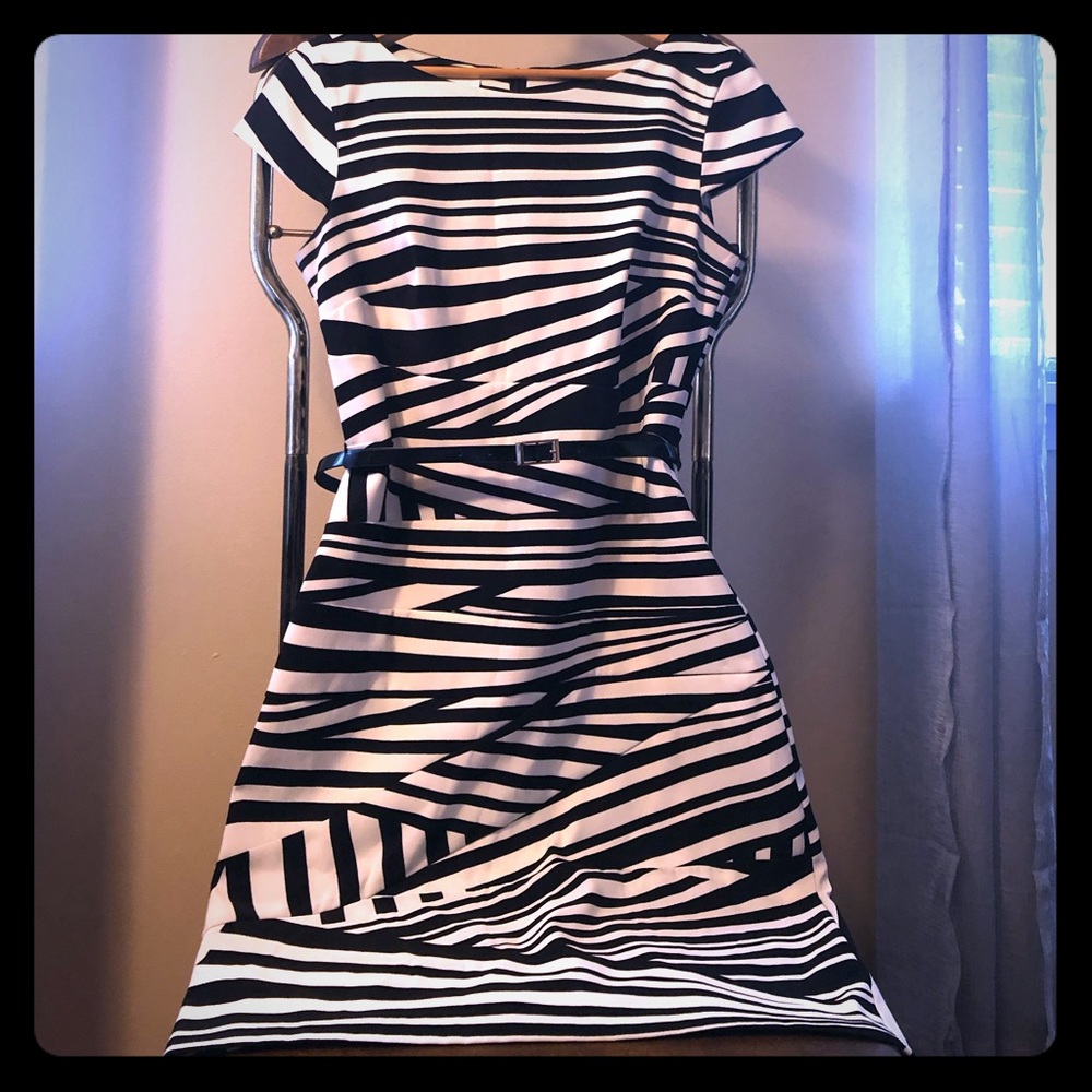 Fitted Zebra Print Dress